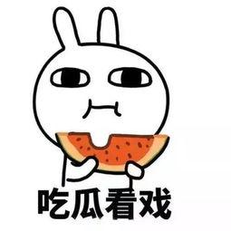 娱乐吃瓜酱不懂就问,不懂就问，揭秘娱乐圈那些事儿